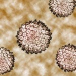 ¿En qué consiste el virus del Papiloma Humano?